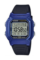 Casio Mens Rubber W800HM2AVDF_CAJESS_TIME_ZONE