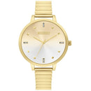 Missguided Ladies Mesh MGO11GM - Cajees Time Zone